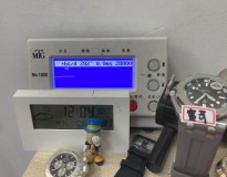 AP 15710 皇家橡樹 賓哥 APS