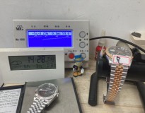 勞力士 ROLEX VS官網  正20K金 不露白 丹東3235 M兄