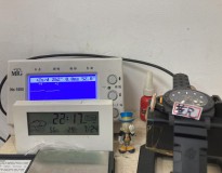 VS Pam1324 GMT 兄